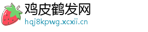 鸡皮鹤发网